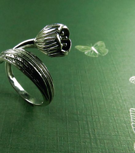 Anillos