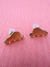 Aretes-Patines