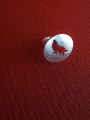 Anillo-Lobo2