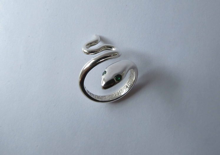 Anillo Serpiente - Imagen 6