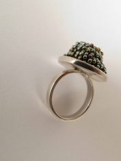 Anillo-Camaelon (1) Anillo-Camaelon (1)