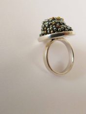 Anillo-Camaelon (2) Anillo-Camaelon (2)