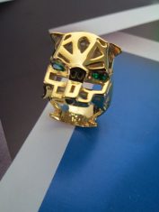 Anillo-Tigre (3)