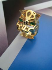 Anillo-Tigre (4)