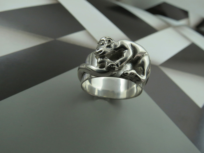 Anillo Mico Relieve