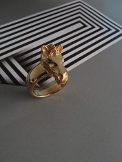 Anillo-Caballo (1) Anillo-Caballo (1)