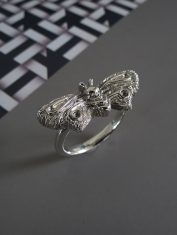 Anillo-Polilla (1)