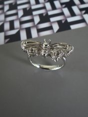 Anillo-Polilla (2)