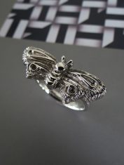 Anillo-Polilla (3)
