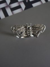 Anillo-Polilla (4)