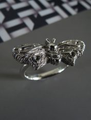 Anillo-Polilla (5)